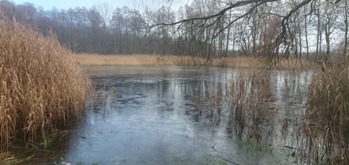 Naturlehrpfad Pressel