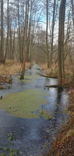 Naturlehrpfad Pressel