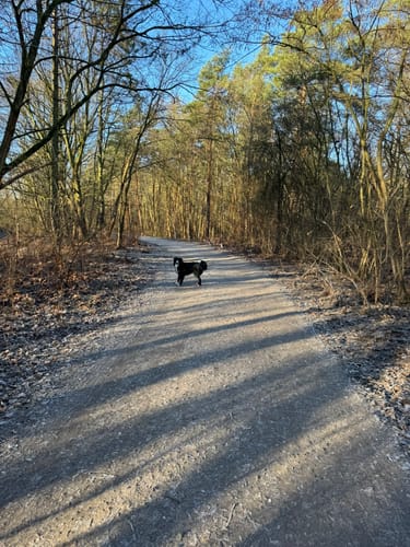 Alt Tegel - Jungfernheide - Otisstraße