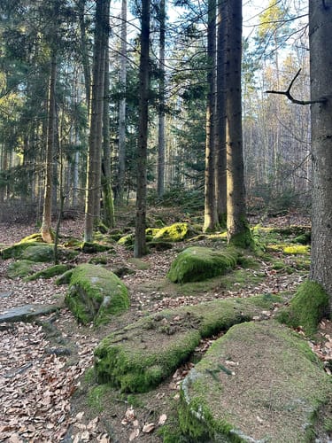 Schwarzwihrberg Rundweg