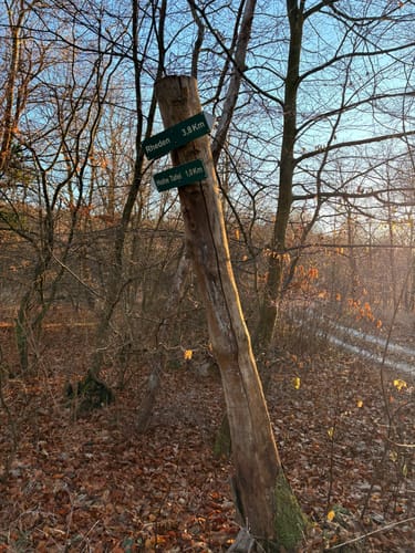 Hohe Tafel ab Hörzerhütte
