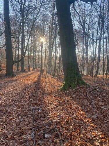 Methorstteich und Rümlandteich
