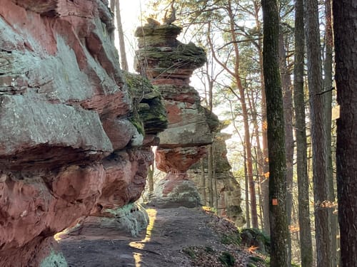 Rumberg-Steig (Premiumwanderweg)