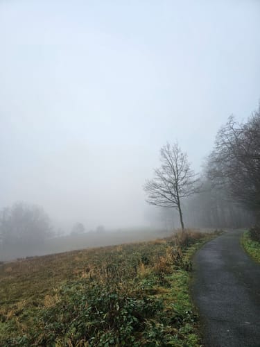 Eichsfelder Grenzwegspuren "Grünes Band"