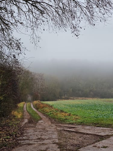Eichsfelder Grenzwegspuren "Grünes Band"