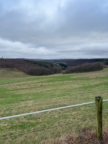 Bismarckeiche Rundweg A4 (Rund um Meiswinkel)