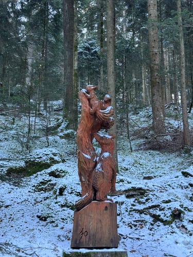 Tannenriesen (Premiumwanderweg)