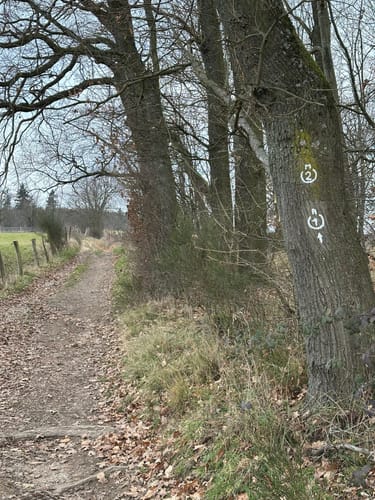 Rundwanderweg Mörlenbach 2: Breitenbach-Weg