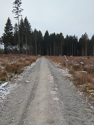 Neu-Anspach nach Hegeweise