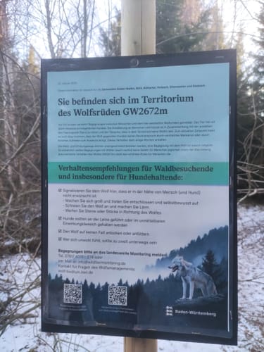 Von Herrenwies über die Badener Höhe
