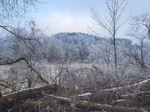 Ab Freising entlang der Isar