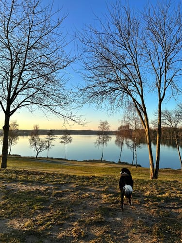 Murner See Weg
