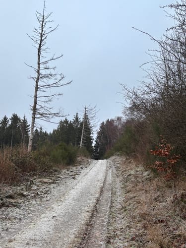 Erkensruhr - Finkenauel - Hirschrott
