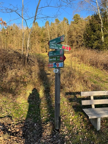 Altnußberg Rundweg