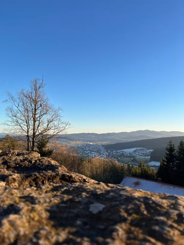 Altnußberg Rundweg
