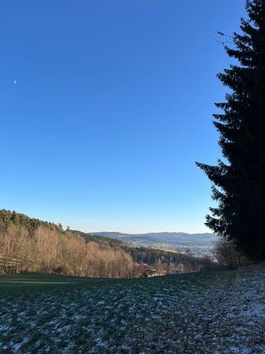 Altnußberg Rundweg