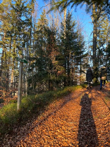 Altnußberg Rundweg