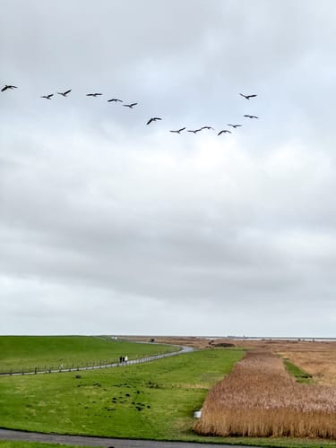 Von Greetsiel zum Leuchtturm Pilsum