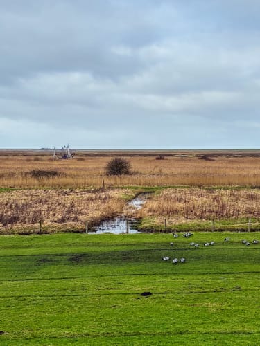 Von Greetsiel zum Leuchtturm Pilsum