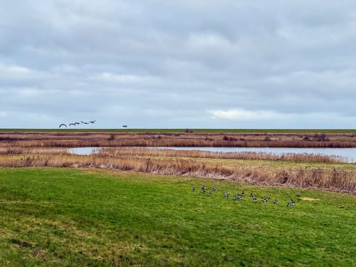 Von Greetsiel zum Leuchtturm Pilsum