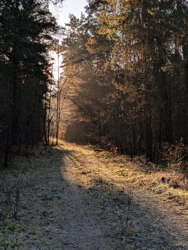 Rundweg Ladeburg - Woltersdorf