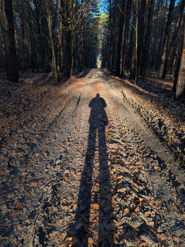 Rundweg Ladeburg - Woltersdorf