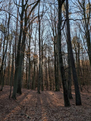 Rundweg Ladeburg - Woltersdorf
