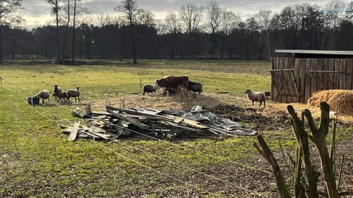 Rundweg durch Steinitz und Weißig