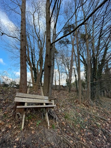 Rund um Wilhelmshorst entlangs Schöne Berge