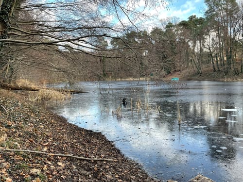 Rund um Wilhelmshorst entlangs Schöne Berge