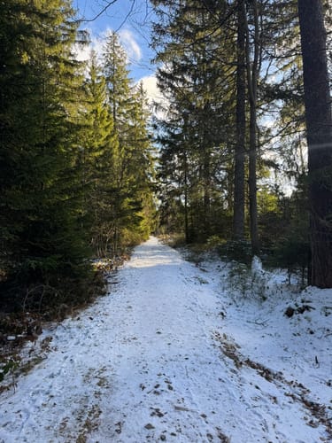 Kniebiser Klostersteig (Premiumspazierwanderweg)