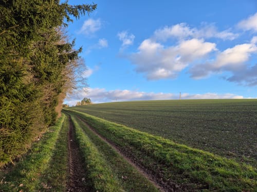 Irrhausen (Naturpark Südeifel Wanderweg Nr. 34)