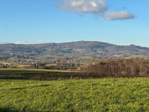 Rundweg Holzberg - Tromm - Tränke
