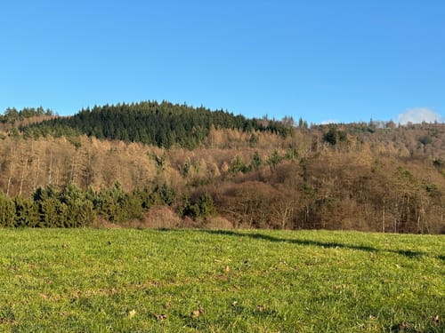 Rundweg Holzberg - Tromm - Tränke