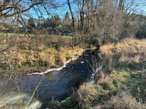 EifelSchleife Kylltal