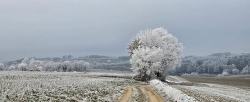 Felder und Wälder bei Buch am Erlbach
