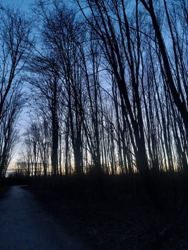 Durch das Arboretum Main-Taunus
