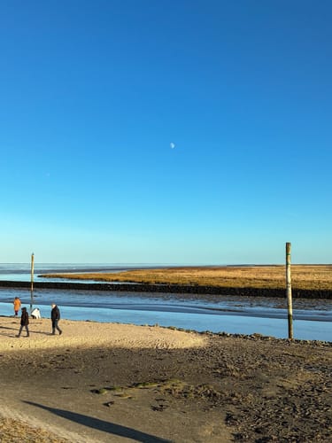 Entlang der Harle zur Nordsee