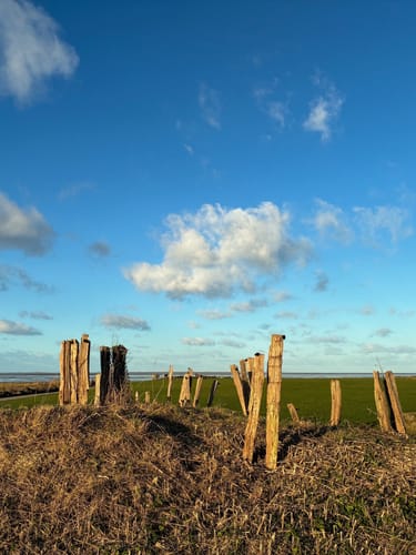Entlang der Harle zur Nordsee