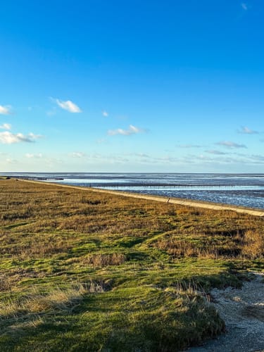 Entlang der Harle zur Nordsee