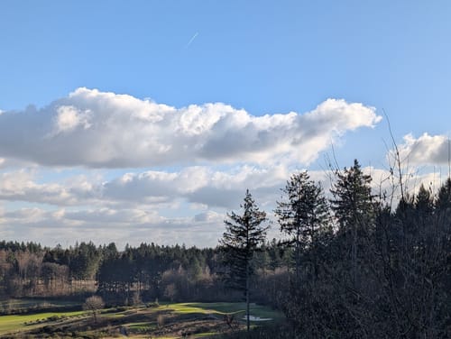 Forsthofrunden (Traumschleifchen)
