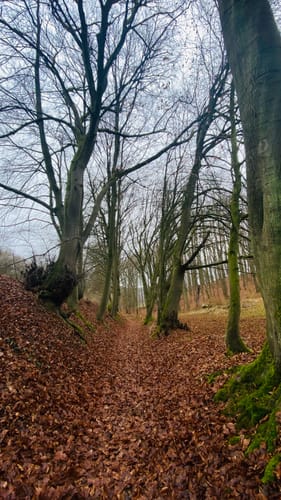 Luhbachweg