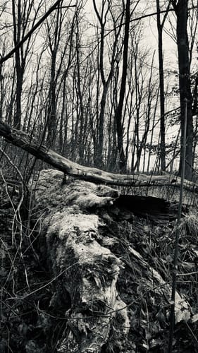 Luhbachweg