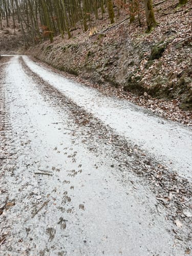 Weidenblattweg