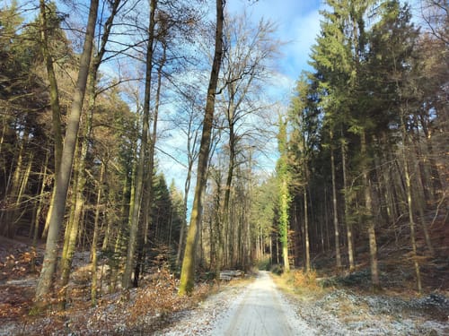 Kulturlandschaftspfad Strümpfelbach
