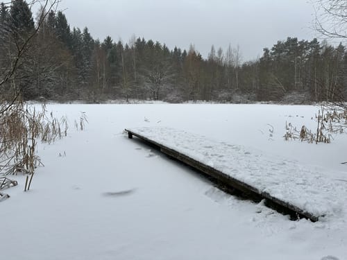 Tharandter Wald Wanderung