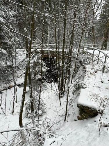 Tharandter Wald Wanderung
