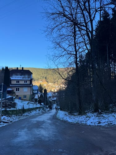 Von Tierheim zum Hohenschramberg