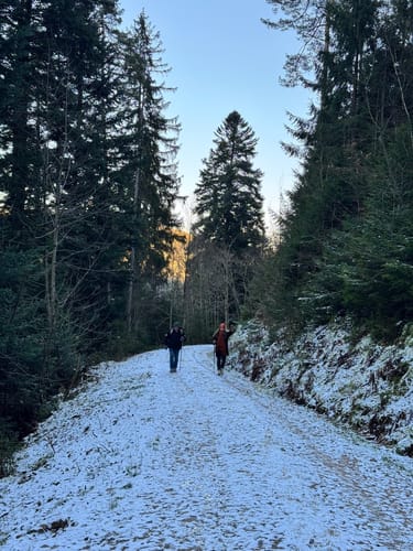 Von Tierheim zum Hohenschramberg