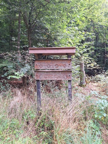 Wanderweg "Kiefer"